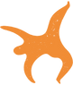 AMEA-ILLUSTRATION-21.png