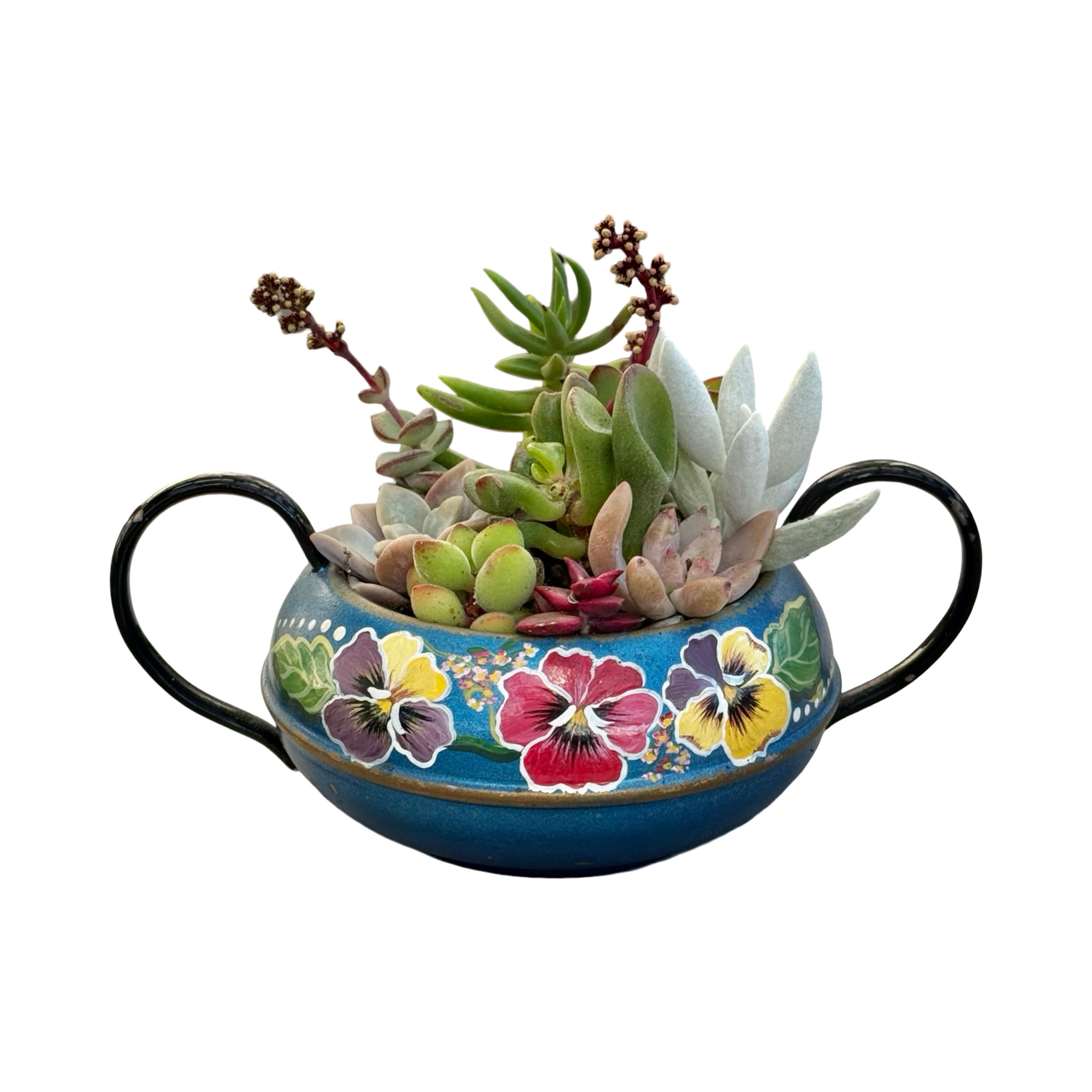 A beautiful blue & flower design vintage enamel pot filled with succulents 