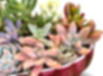 Thumbnail: A delicious deep red lustre vintage Titian mantle vase filled with succulents