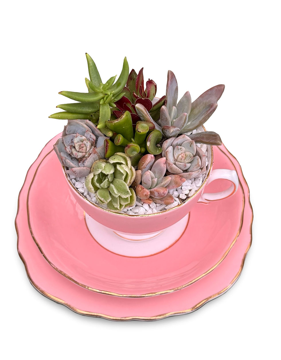 Thumbnail: A gorgeous pink vintage teacup saucer trio filled with colourful succulents 