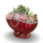 Thumbnail: A delicious deep red lustre vintage Titian mantle vase filled with succulents