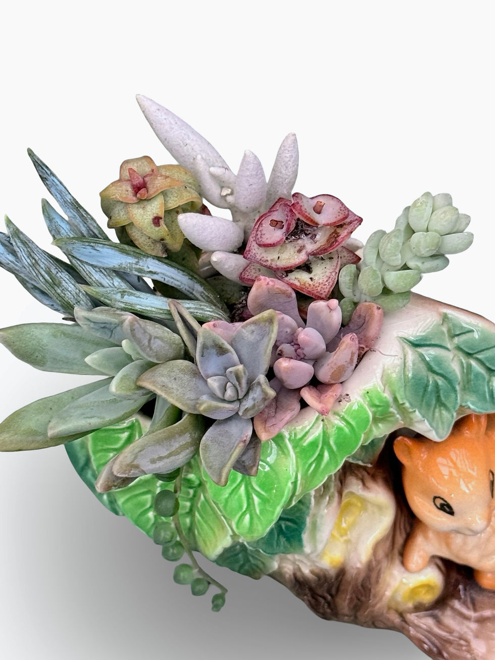 Thumbnail: A lovely little squirrel & woodland themed vintage Hornsea vase with succulents