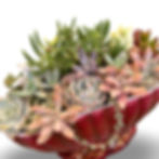 Thumbnail: A delicious deep red lustre vintage Titian mantle vase filled with succulents