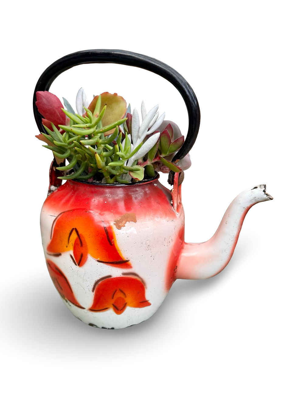 Thumbnail: A super colourful vintage enamel teapot bursting with colourful succulents 