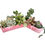 Thumbnail: A pretty pink vintage posy vase filled with colourful succulents
