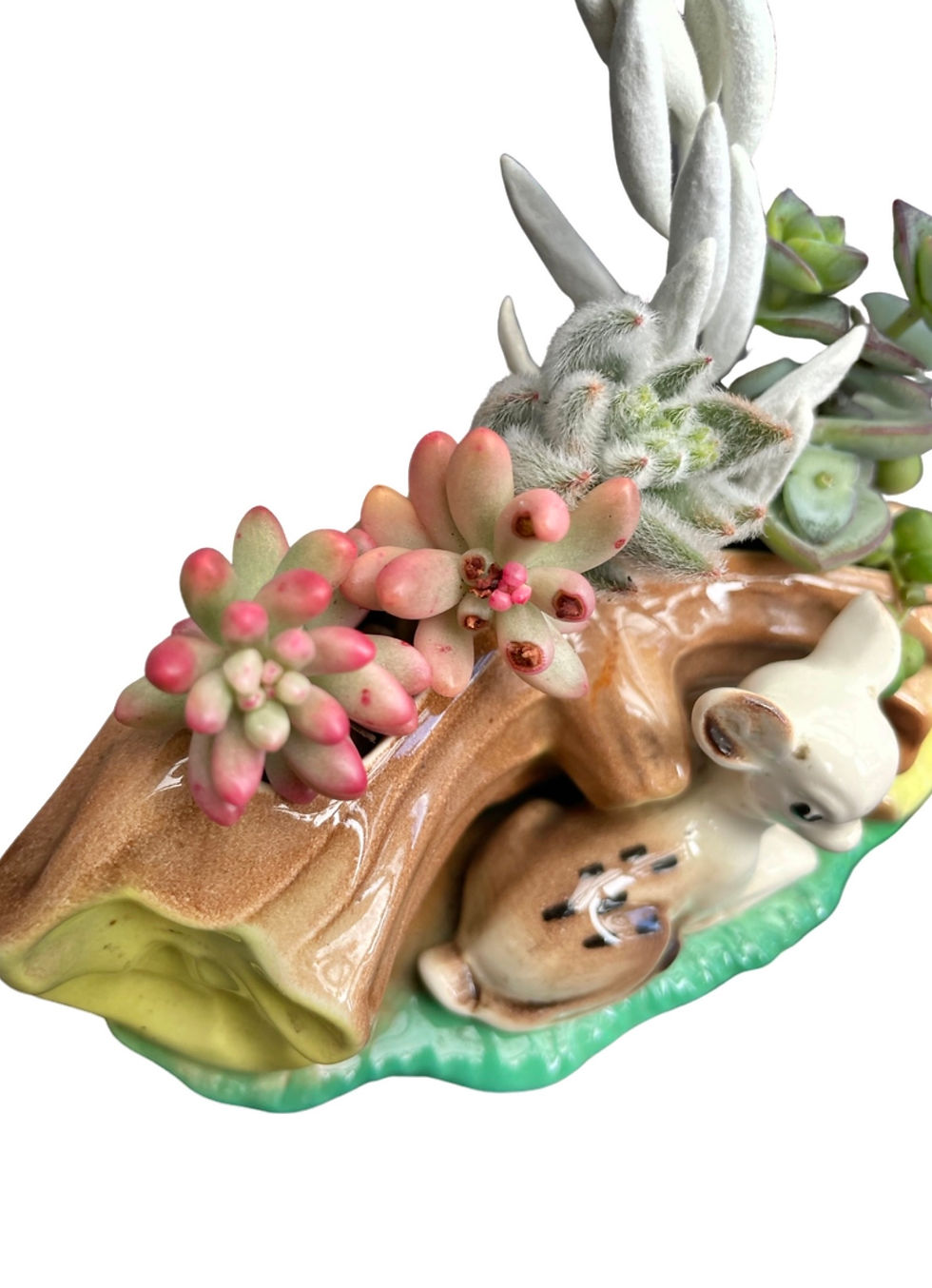 Thumbnail: A beautiful vintage Hornsea deer vase with a variety of colourful succulents