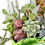 Thumbnail: A gorgeous strawberry design pocket wall vase filled with colourful succulents