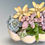 Thumbnail: A beautiful colourful vintage Titian vase with colourful succulents