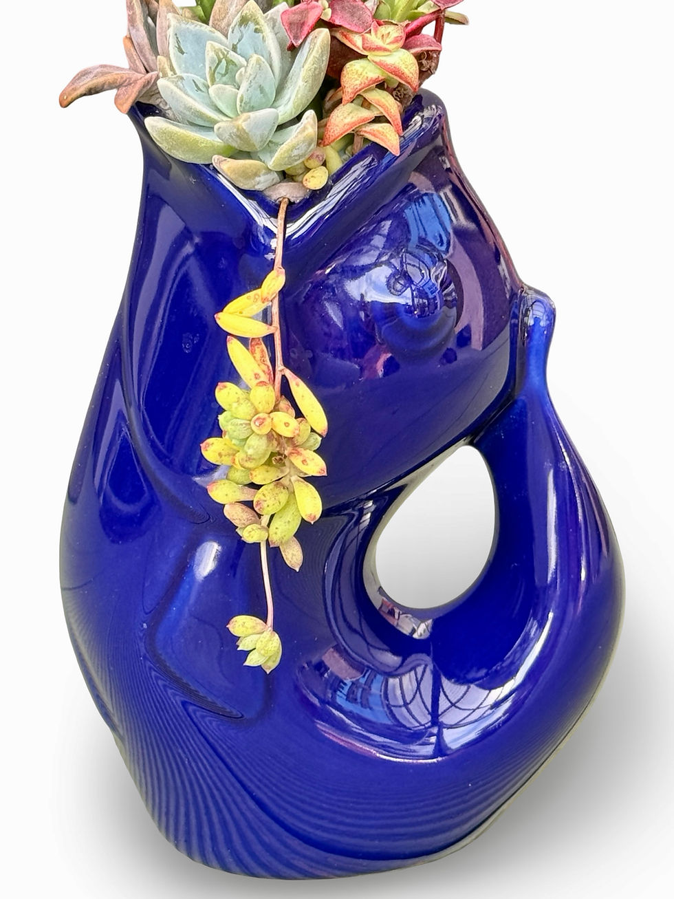Thumbnail: A beautiful deep blue Gurgle Fish Jug filled with colourful succulents