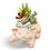 Thumbnail: A cute pale pink piggy planter filled with beautiful succulents 