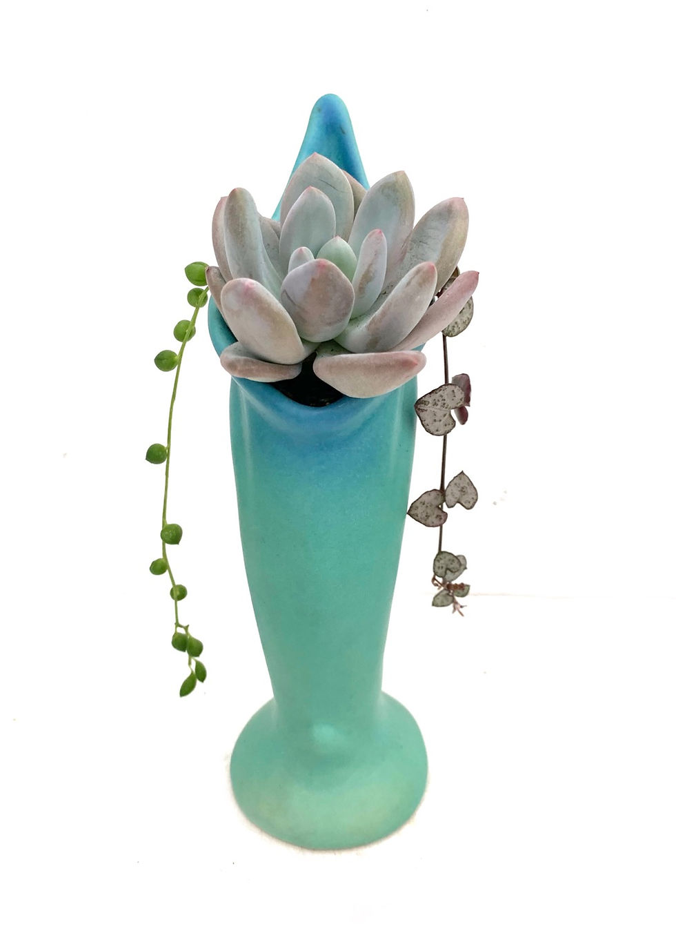 Thumbnail: A stunning vintage 'Van Briggle' vase with colourful succulents