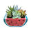 Thumbnail: A cute watermelon vase filled with colourful succulents