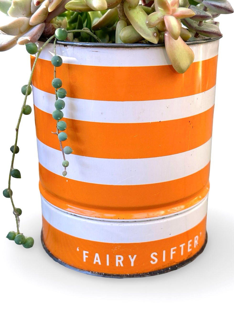 Thumbnail: A lovely orange & white striped flour sifter filled with colourful succulents