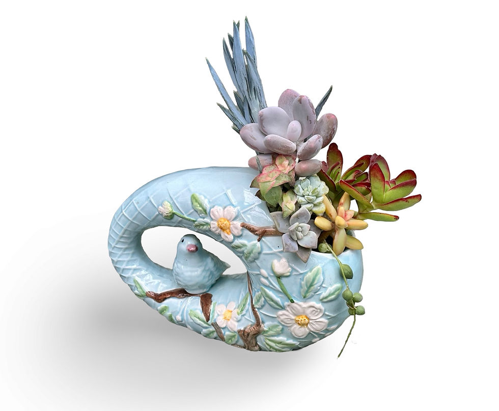 Thumbnail: A cute bird in pretty oval vintage vase filled with beautiful succulents 