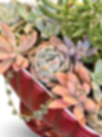 Thumbnail: A delicious deep red lustre vintage Titian mantle vase filled with succulents