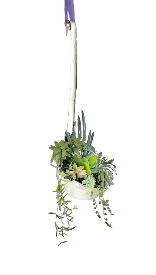 Thumbnail: A large vintage enamel ladle filled with succulents