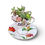 Thumbnail: An elegant colourful floral design matching teacup & saucer with succulents 