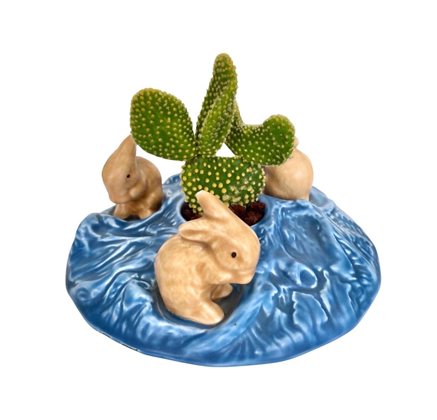 A beautiful blue vintage Sylvac bunny vase with crested cactus