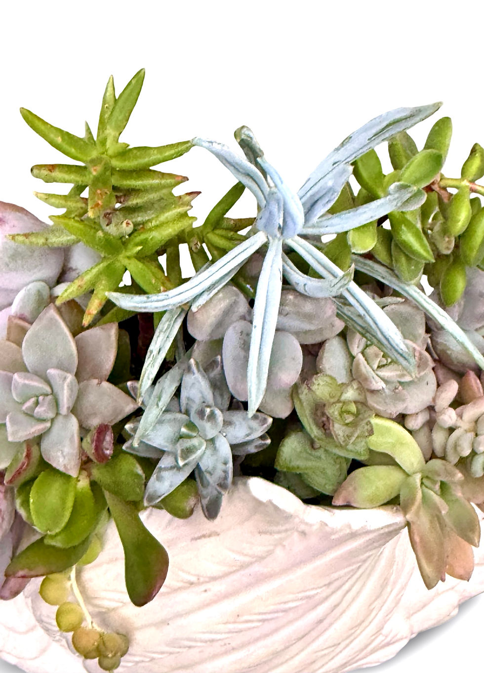 Thumbnail: A stunning Large Vintage Swan Vase with pearlescent glaze filled with succulents