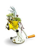mincer_89.jpg
