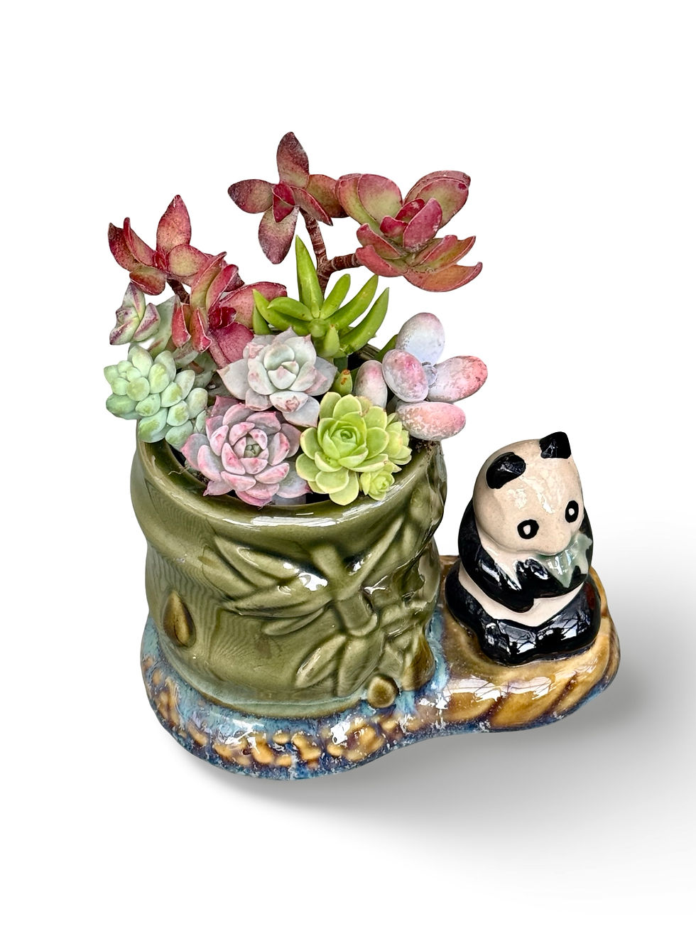 Thumbnail: A super cute Bamboo and Panda planter filled with colourful succulents 