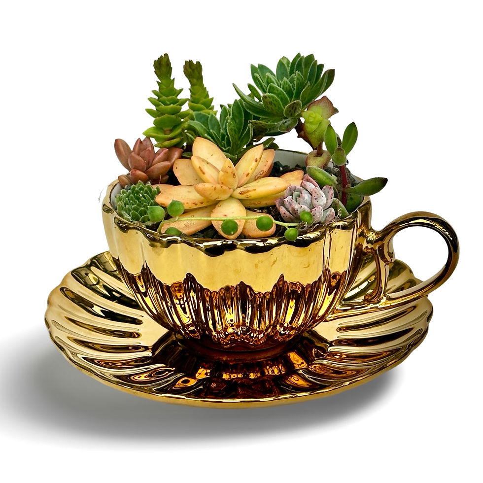 Thumbnail: A gorgeous gold vintage teacup and saucer filled with a selection of succulents 