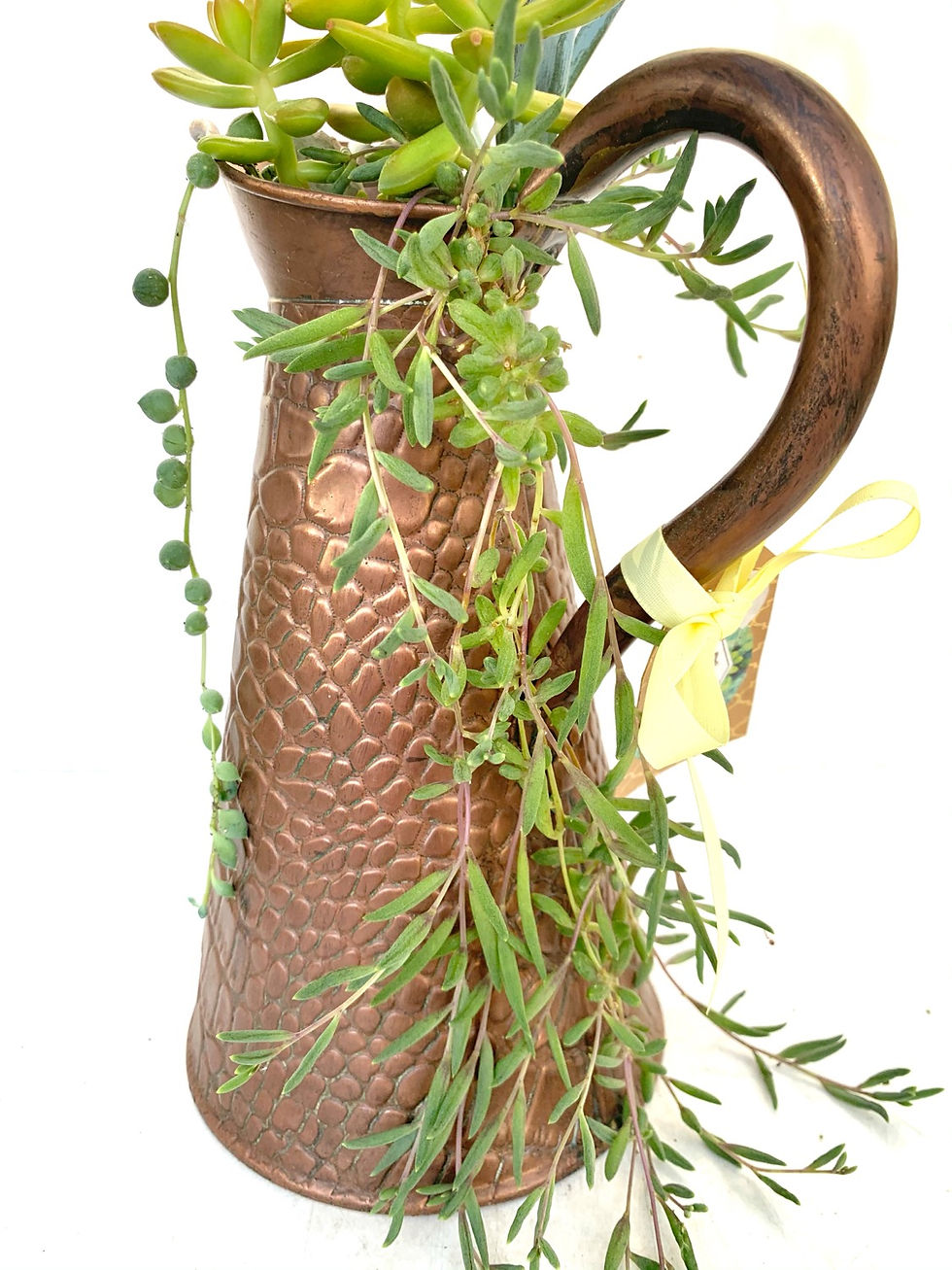 Thumbnail: Beautiful textured copper jug with a selection of succulents
