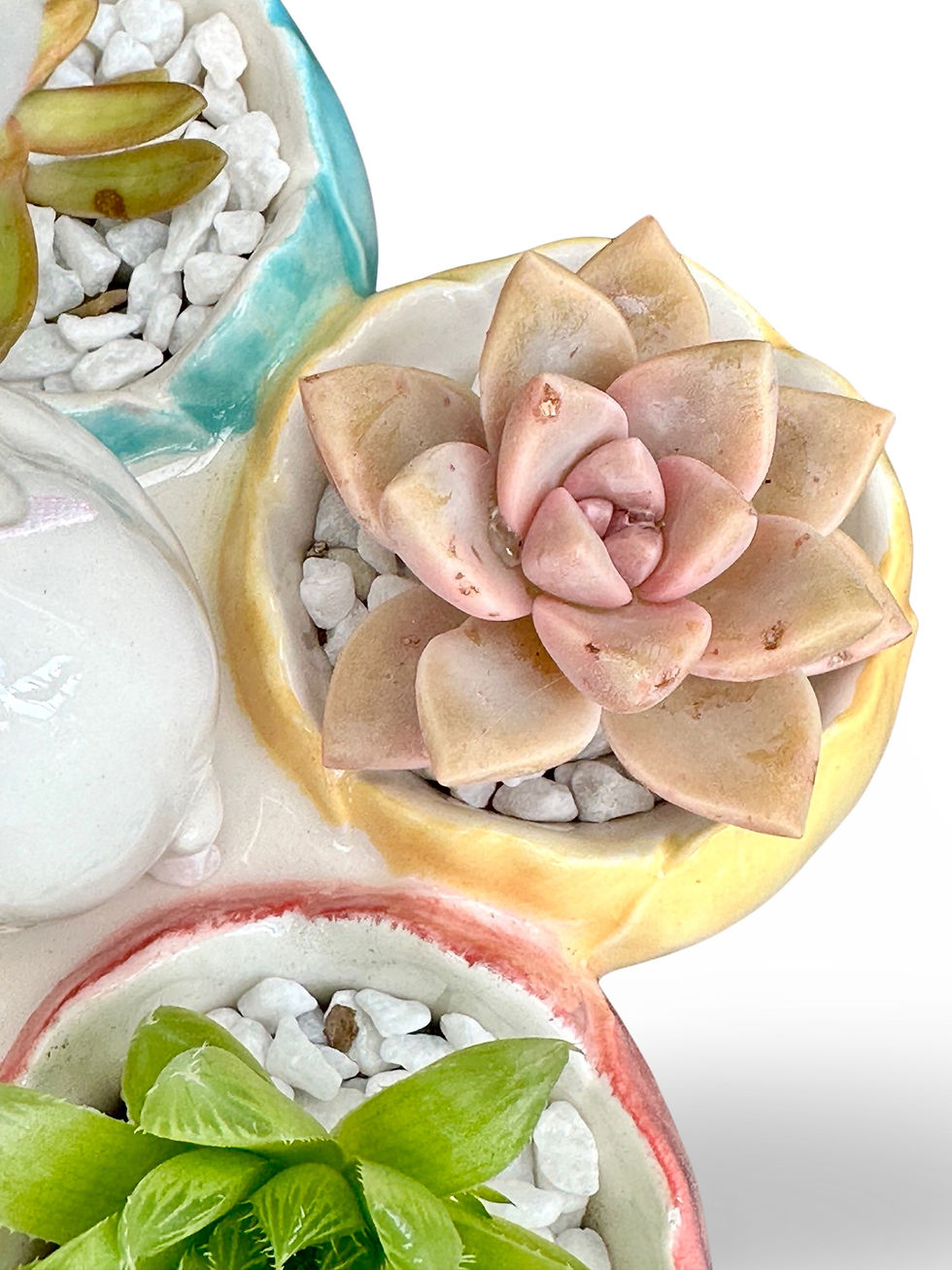 Thumbnail: A beautiful pottery bunny with colorful eggs filled with a variety of succulents