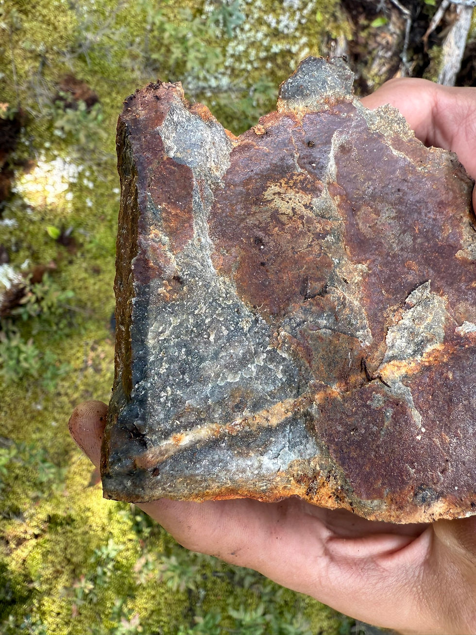 Outcrop sample collected from the heart of the Nemo anomaly with a silicified granodiorite mineralized with 2%-5% pyrite