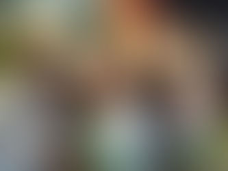 Behind the Scenes: The Architecture of Observation