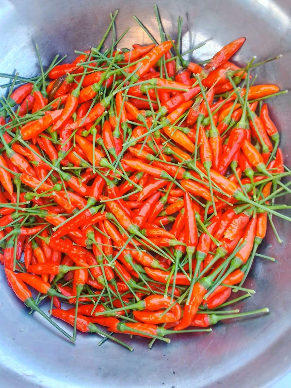 Thumbnail: African Bird Eye Chilli