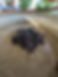 untitled-44.jpg