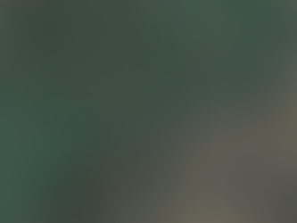 February 50 Doubles Race Preview