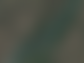 Bogus Creek 150 Preview - More Changes