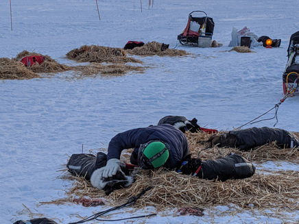 Hospitality at Tuluksak