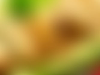 ROULEAUX PRINTEMPS HAZEL