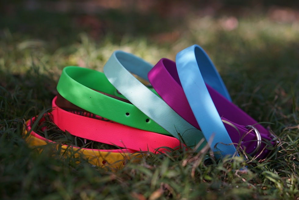 Thumbnail: Biothane® Collar 3/4"