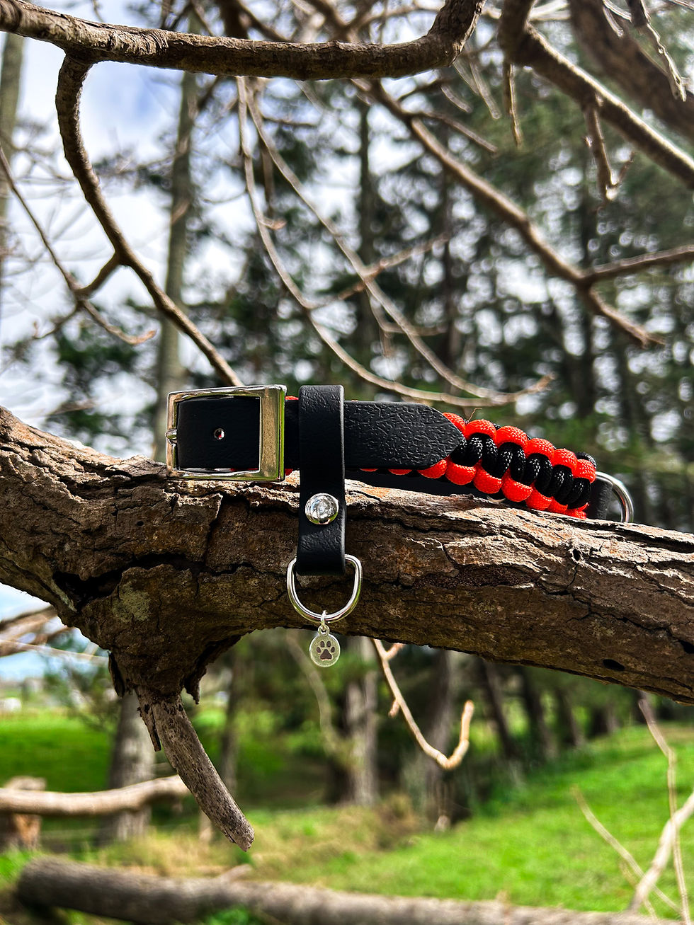 Thumbnail: 3/4" Hybrid Collar Medium