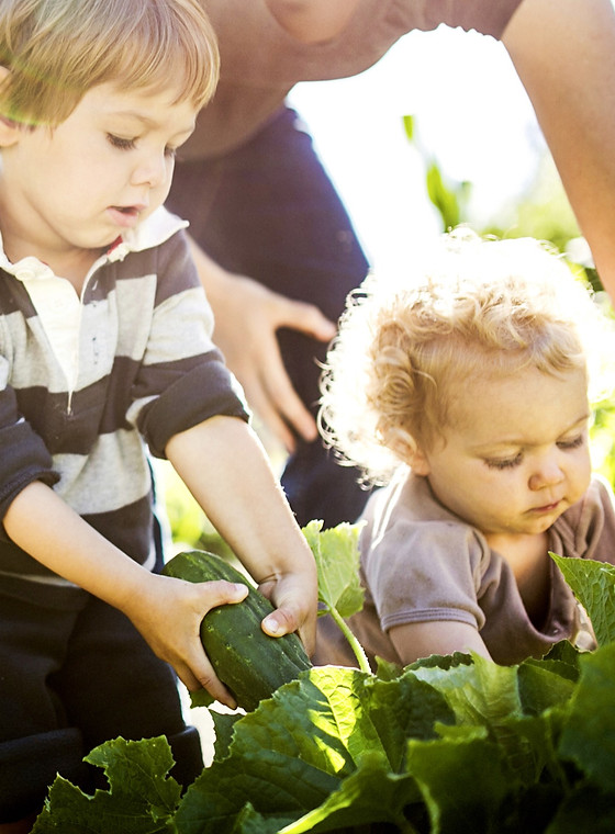 Vegetable Picking_edited.jpg