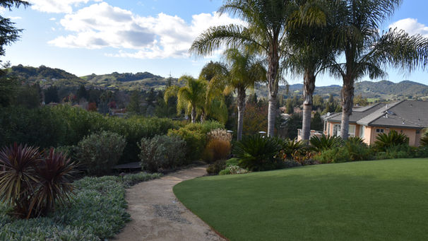 artificial grass lawn with palm trees shrubs and walkway