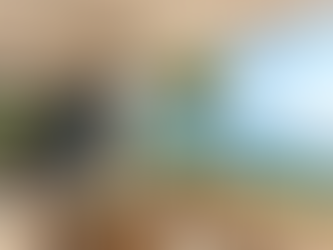 What Makes Maui a Premier Destination for Vacationers?