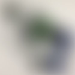 Skywatcher Evoguide 50ED