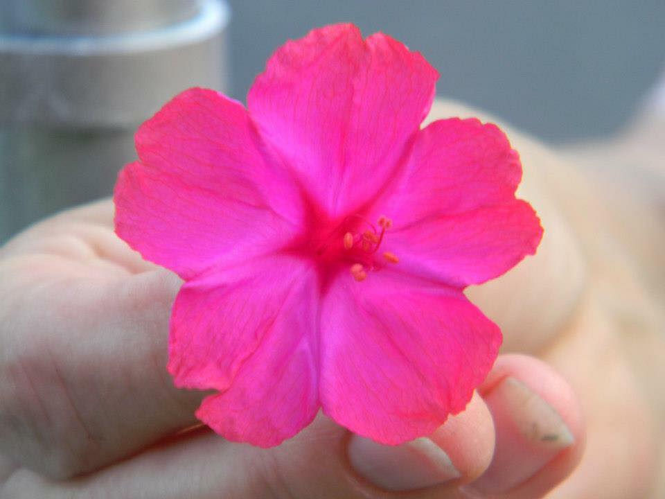 40654890_270161533624299_806308629112789