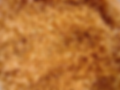 2b6106609aebcc24fbb7ede1a3d5d813c4895020.png