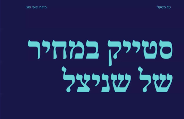 אפיון שפה מקוצר בתקציב מוגבל