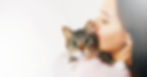 Slider-home-footer.jpg