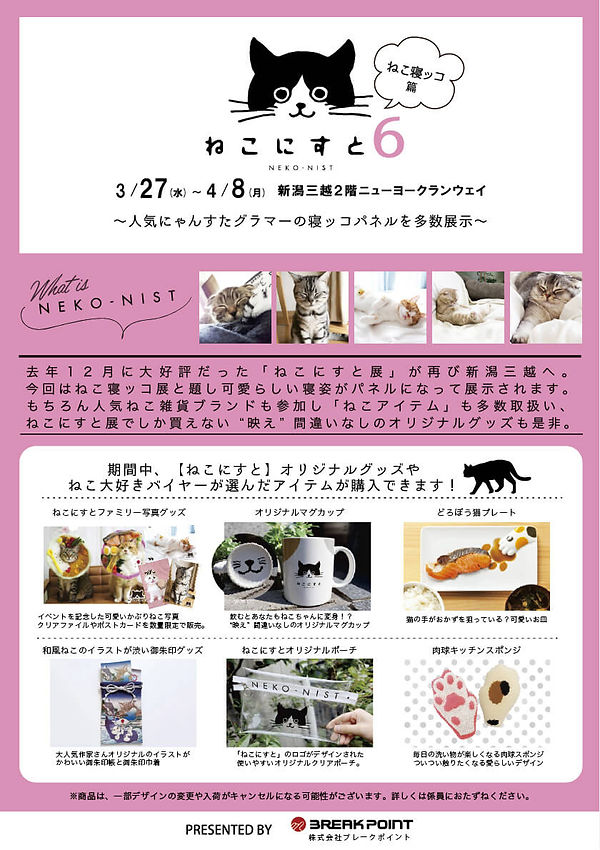 チラシ(ペラ) のコピー.jpg