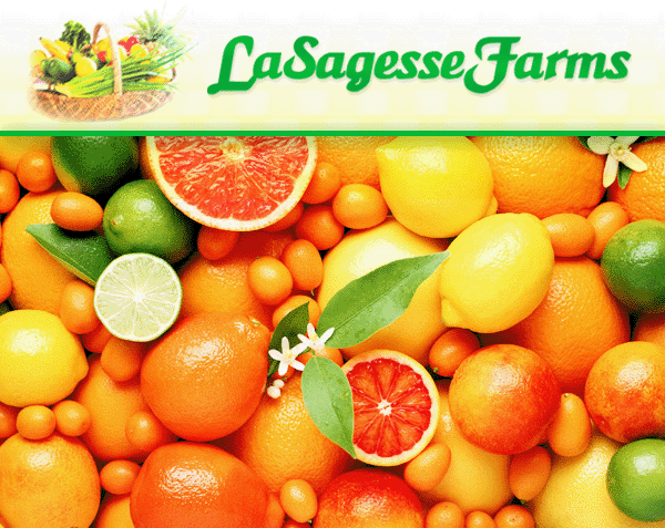 bkgdorange