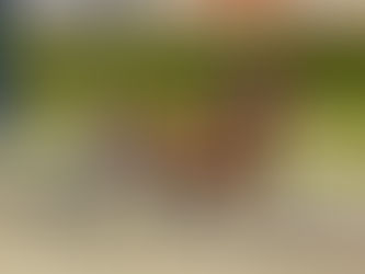 Patriarch leads the way for Lazarus