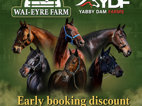 Yabby Dam Farms 2YO Trotters Classic announced and early booking discount